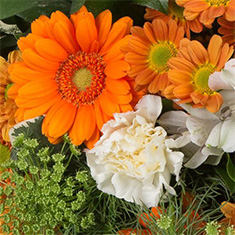 Florist&#39;s Choice Posy