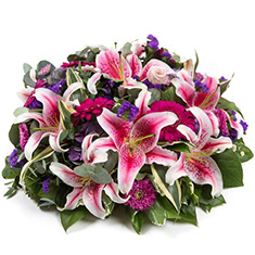 Stargazer Lily Posy Pad