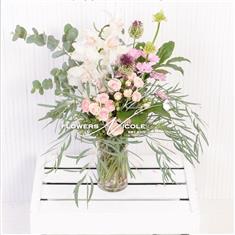 Orchid Blush