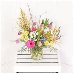 Spring Collection