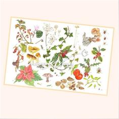 Norfolk WINTER Flowers Print