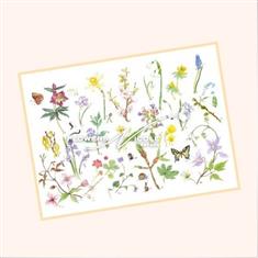 Norfolk SPRING Flowers Print