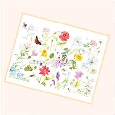 Norfolk SUMMER Flowers Print