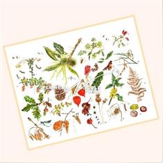Norfolk AUTUMN Flowers Print