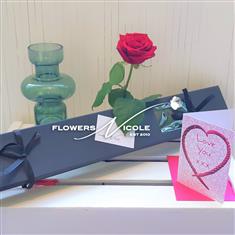Single Red Rose in Presentation Box, Vase &amp; Card