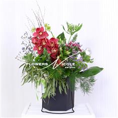 Mother&#39;s Hatbox Magnificence