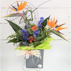 BIRD of Paradise Bouquet