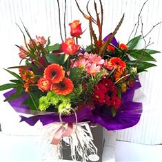 Nicole&#39;s Norfolk Celebration